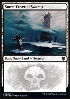 Snow-Covered Swamp